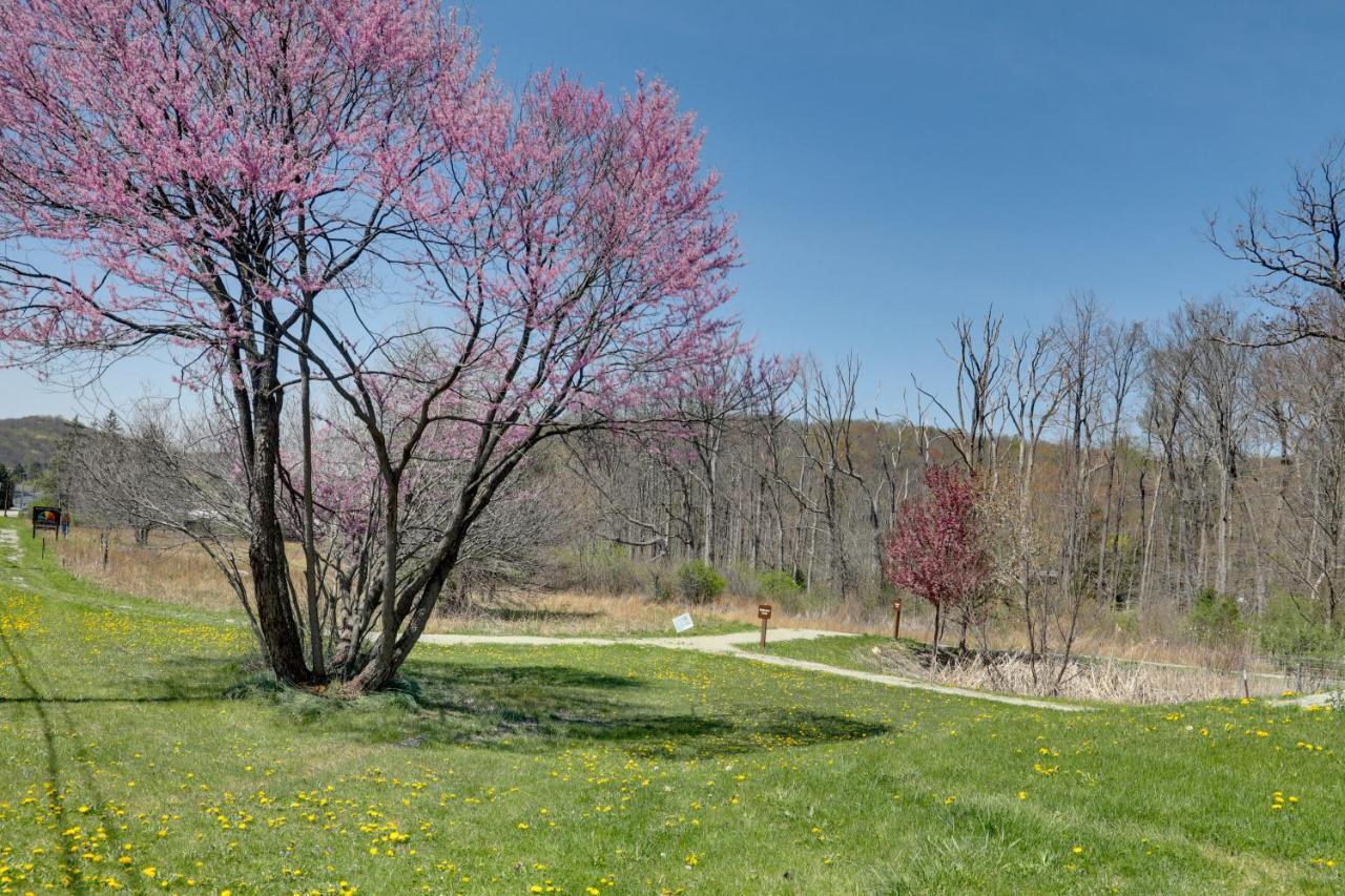 Pet-Friendly Pennsylvania Vacation Rental With Pool! Laughlintown Exterior foto